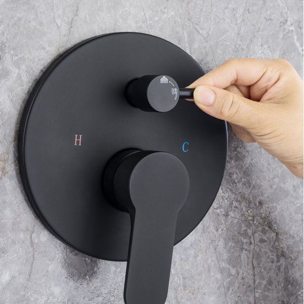 Rainlex Pressurebalanced Shower Faucet With Roughin Valve & Reviews